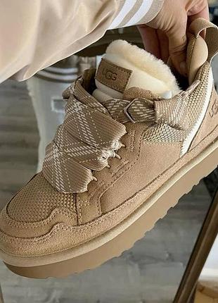Кросівки уггі boots жіночі зимові кросівки ugg lowmel