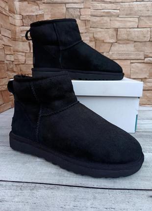 Женские ugg chukkaboots