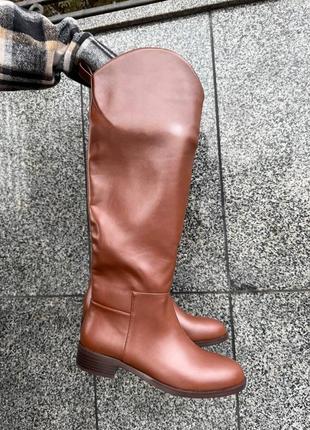 Трендові шкіряні коричневі жокейські чоботи
