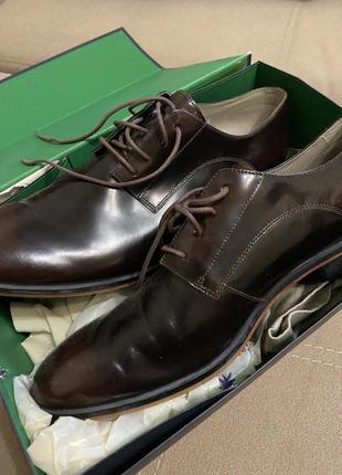 Туфлі clarks