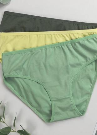 Набор трусиков женских брифы тройки 3 шт 55000-590