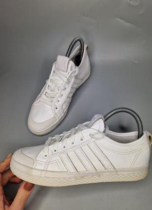 Кросівки adidas