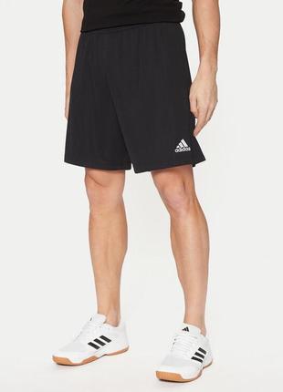 Новые спортивные шорты adidas