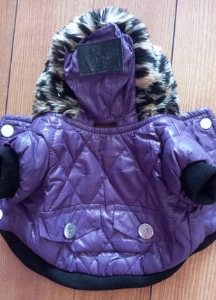 Курточка для маленького собачки.