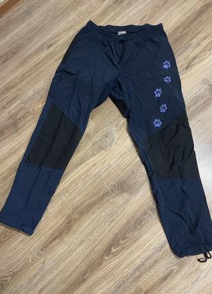 Чоловічі туристичні спортивні штани jack wolfskin