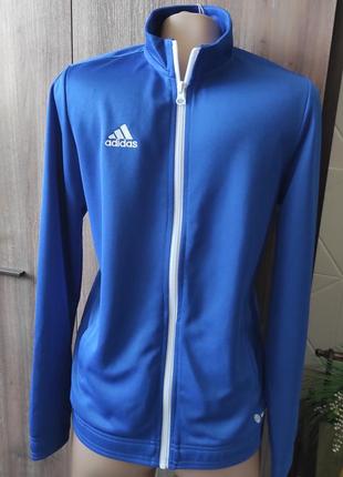 Adidas олимпийка 13-14 лет рост 160-164