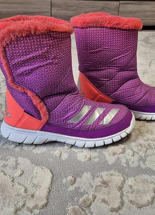 Стильные теплые сапоги дутики adidas р.38
