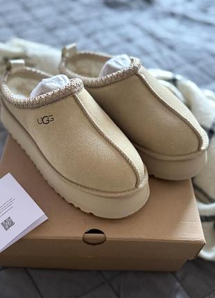 Ugg tazz