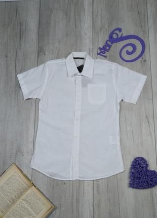 Школьная рубашка для мальчика blueland летняя с коротким рукавом белая размер 140 (10 лет)