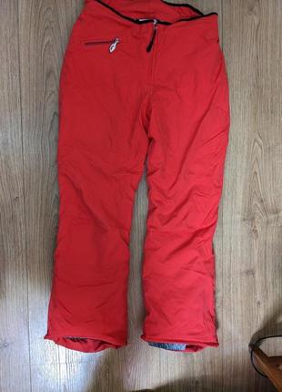 Горнолыжные брюки allsport