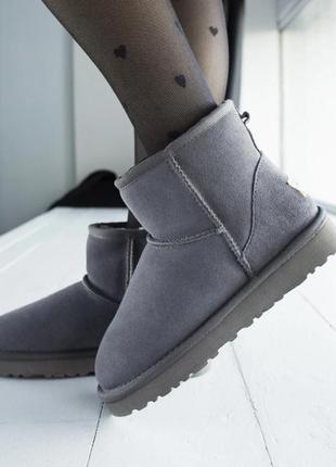 Зимние женские угги на меху ugg australia low серые (австралия лоу, уггі)