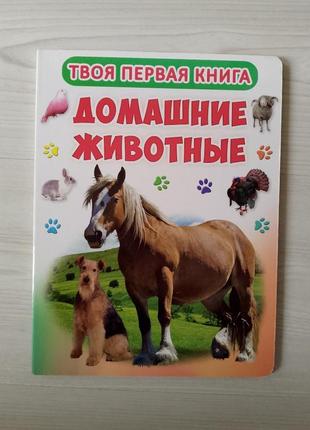 Домашние животные, твоя первая книга.