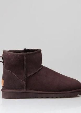 Зимние женские угги на меху ugg classic mini коричневые (классик мини, уггі)