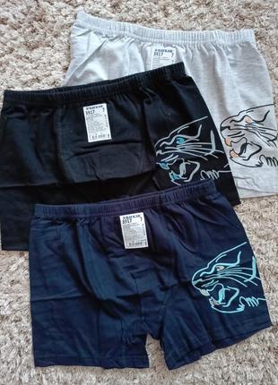 Трусики baykar