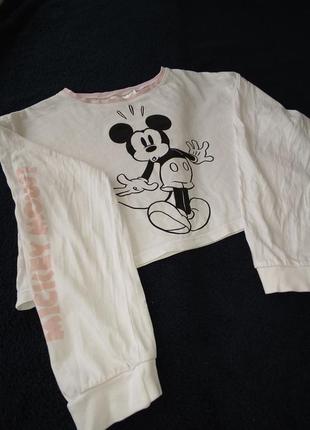 Топ кофтинка з рукавом 134-140