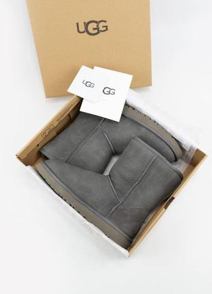 Ugg w classic short ii grey🆕 шикарные женские угги 🆕 купить наложенный платёж6 фото