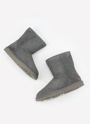 Ugg w classic short ii grey🆕 шикарные женские угги 🆕 купить наложенный платёж4 фото