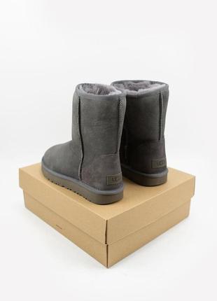 Ugg w classic short ii grey🆕 шикарные женские угги 🆕 купить наложенный платёж5 фото