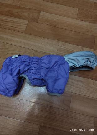 Комбінезон для собак