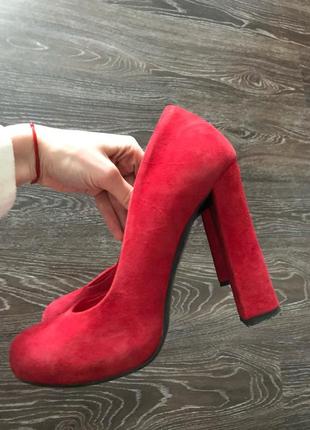 Замшеві туфлі bravo moda