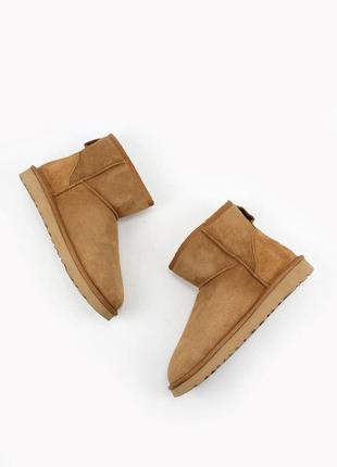 Ugg w classic mini chestnut🆕 шикарные женские угги 🆕 купить наложенный платёж1 фото