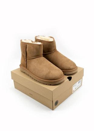 Ugg w classic mini chestnut🆕 шикарные женские угги 🆕 купить наложенный платёж2 фото