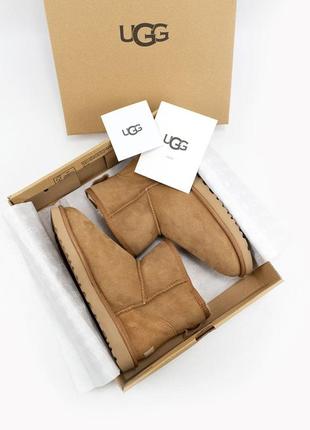 Ugg w classic mini chestnut🆕 шикарные женские угги 🆕 купить наложенный платёж4 фото