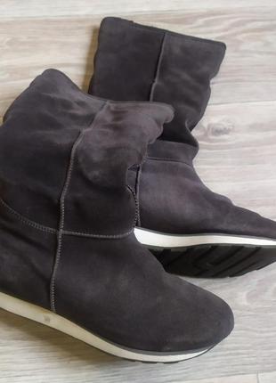 Черевики primigi gortex р.37