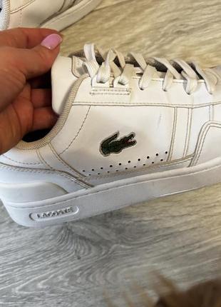 Кеди lacoste