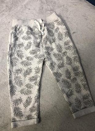 Штанишки без утепления