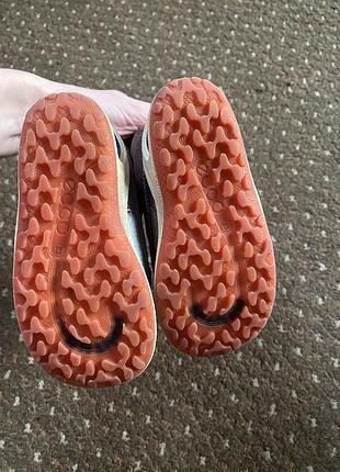 Черевики ecco biom gore-tex 4