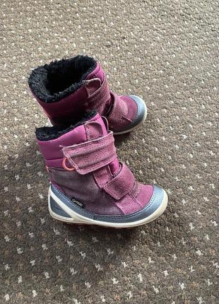 Черевики ecco biom gore-tex