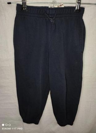 Штани брюки спортивні на зиму фліс