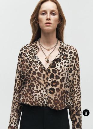 Блуза zara у леопардовому принті