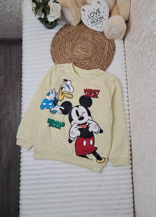 Світшот з начосом disney 5-6 років