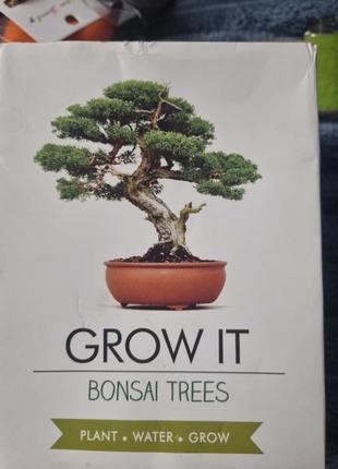 Цветы вырастить дерево 🌳 бонсаи