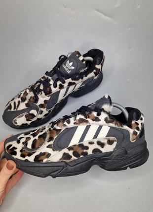 Классные кроссовки adidas yang leopard