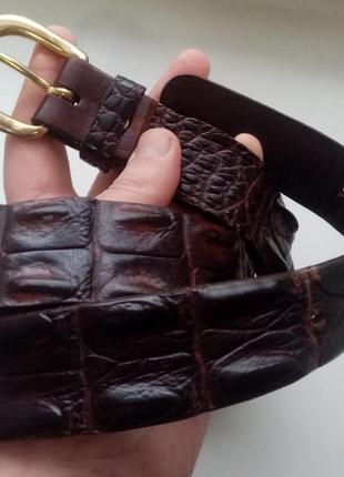 Чоловічий ремінь із шкіри австралійського крокодила hand made