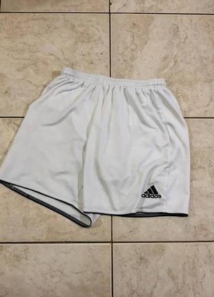 Шорты белые для спорта adidas