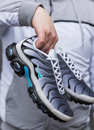 Кросівки nike air max tn