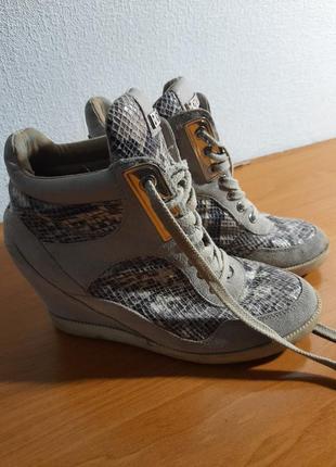 Черевики розмір 38...39  guess