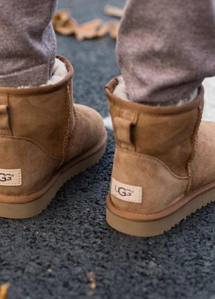 Ugg classic mini ii boot🆕 шикарные женские угги 🆕 купить наложенный платёж5 фото