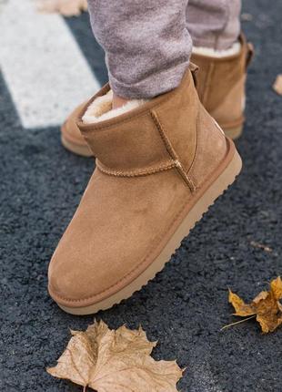 Ugg classic mini ii boot🆕 шикарные женские угги 🆕 купить наложенный платёж