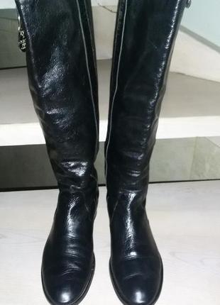 Patrizia pepe (италия) черные кожаные сапоги р.37 (24см)