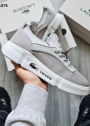 Кросівки lacostе light gray (сірі)