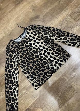 Кофта zara лео