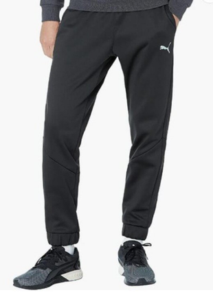 Puma мужские спортивные штаны heat insulation train all day pwrfleece