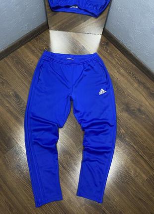 Спортивные штаны free adidas