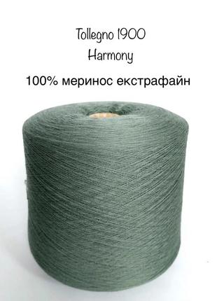 Пряжа меринос tollegno 1900harmony