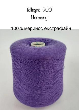 Пряжа меринос екстрафайн tollegno 1900 art. harmony.